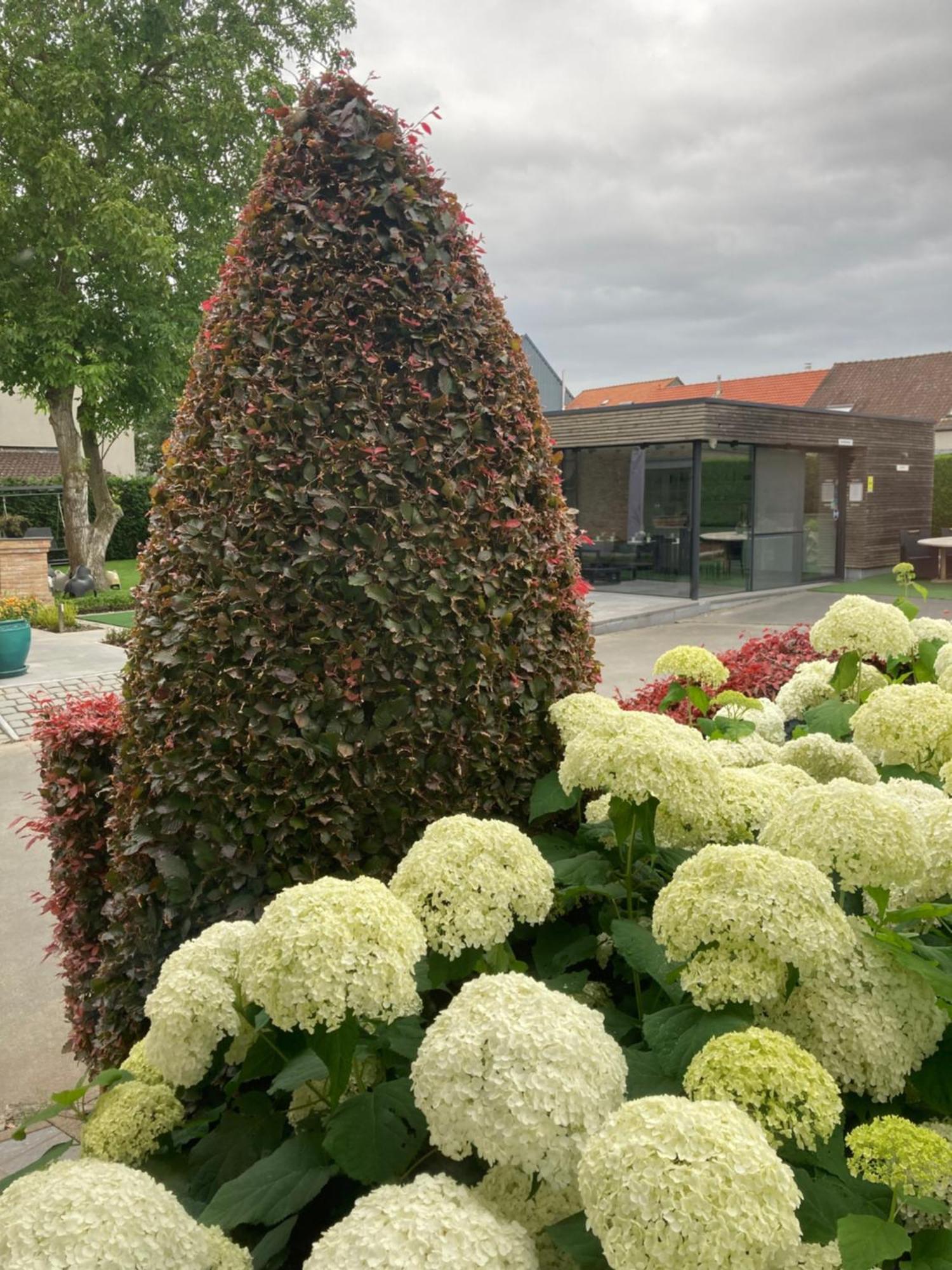 B&B Bertem Natuur Dış mekan fotoğraf